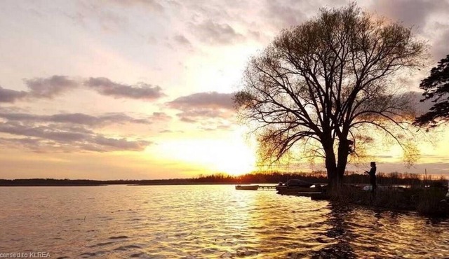 Waterfront! Lalani on the Lake. 2 docks with modern comfortable living space.