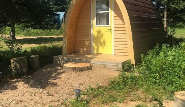 White Birch Camping Pod