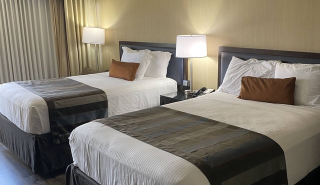 Wingate by Wyndham Springfield