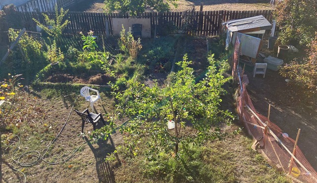 Winter rental with backyard