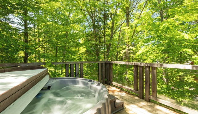 Wood log cabin | Spa + Gym + Kids Club