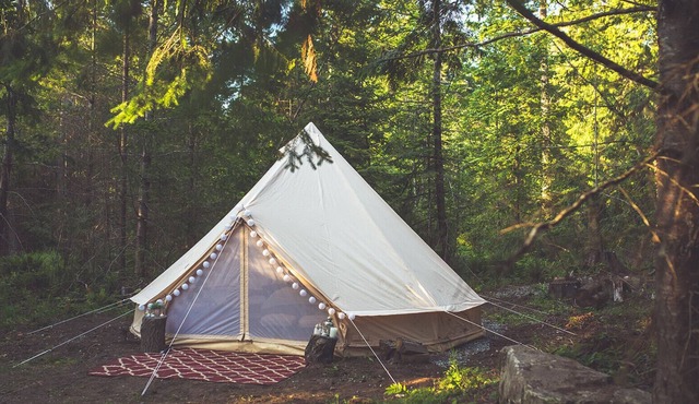 Zen— Vancouver Island