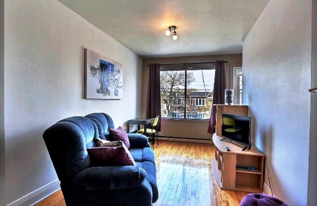 #199 Cozy Furnished Apt in Rosemont