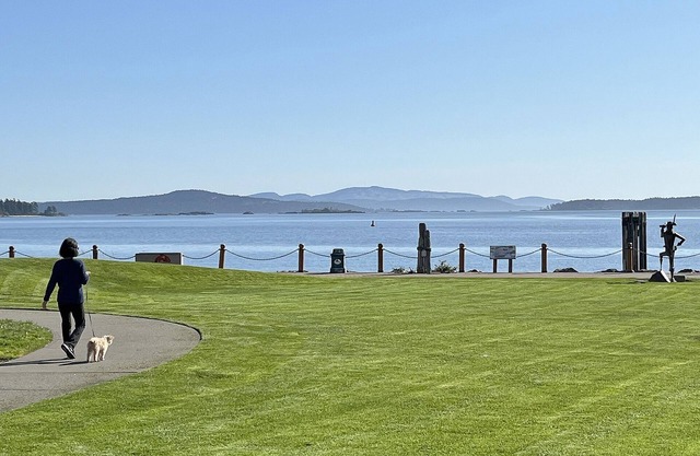 King's Balcony, Downtown Sidney, New spacious 2 bedroom condo, 90 day minimum.
