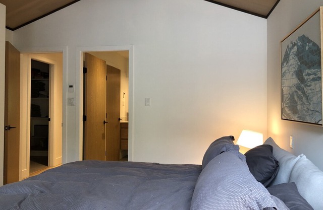 Modern renovated townhouse with Private hot tub in The Woods
