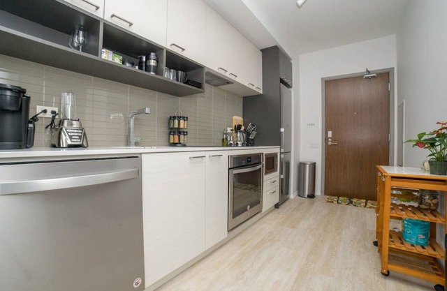 New Luxury 1 Bedroom Downtown Apartment