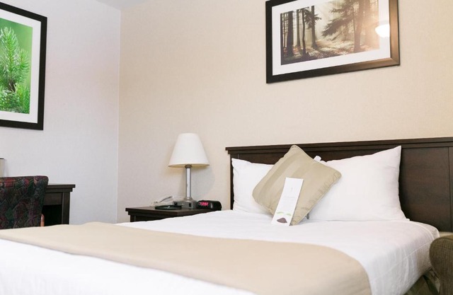 Victoria Inn Flon 