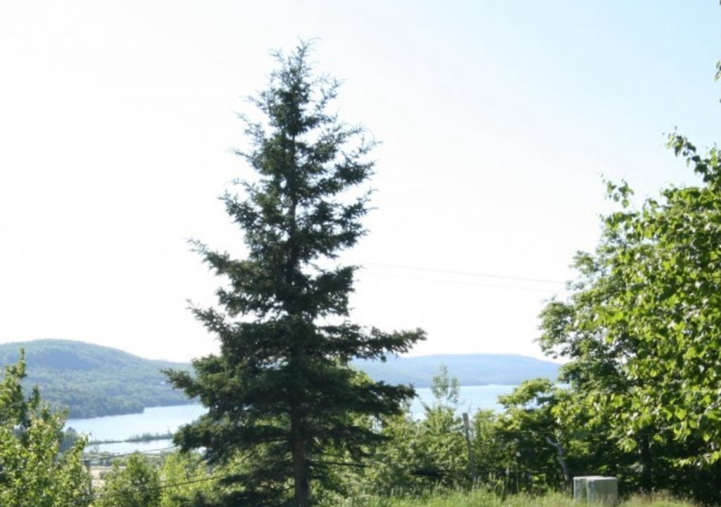 Photo of Outdoor in Mont-Tremblant