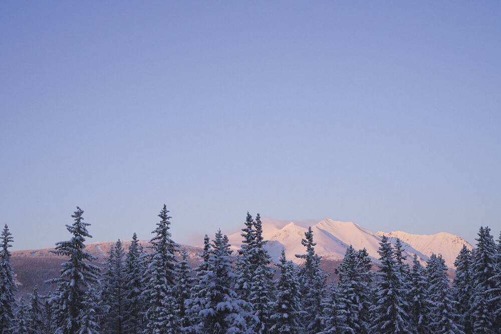 Photo of Others in Smithers