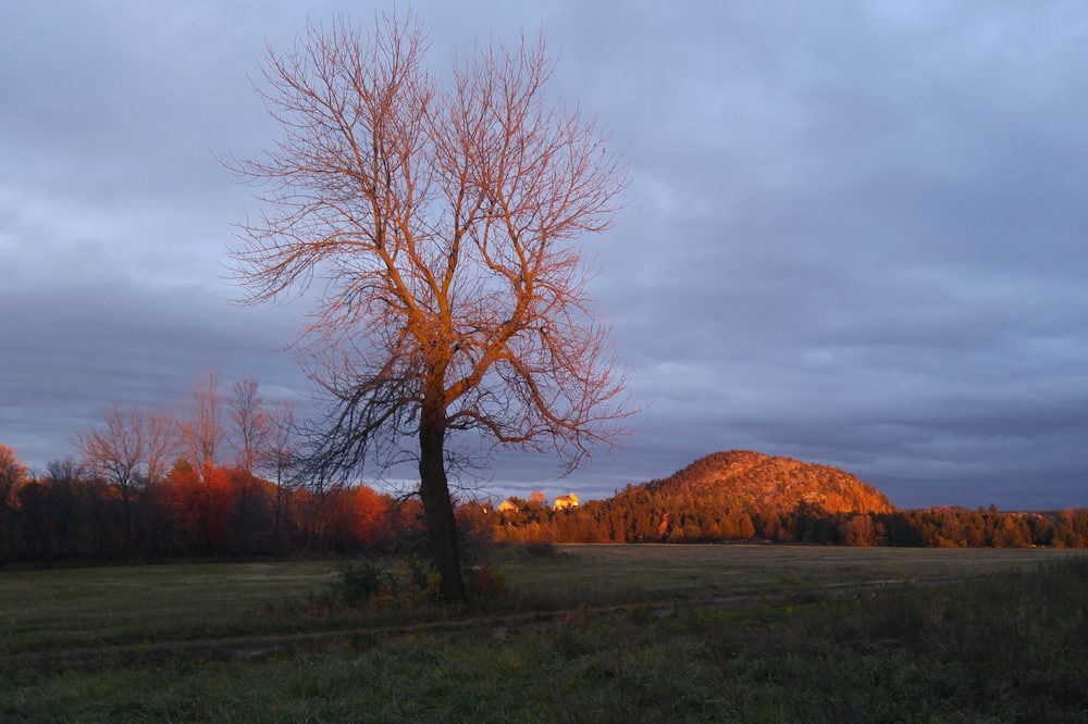 Photo of Outdoor in La Pocatiere