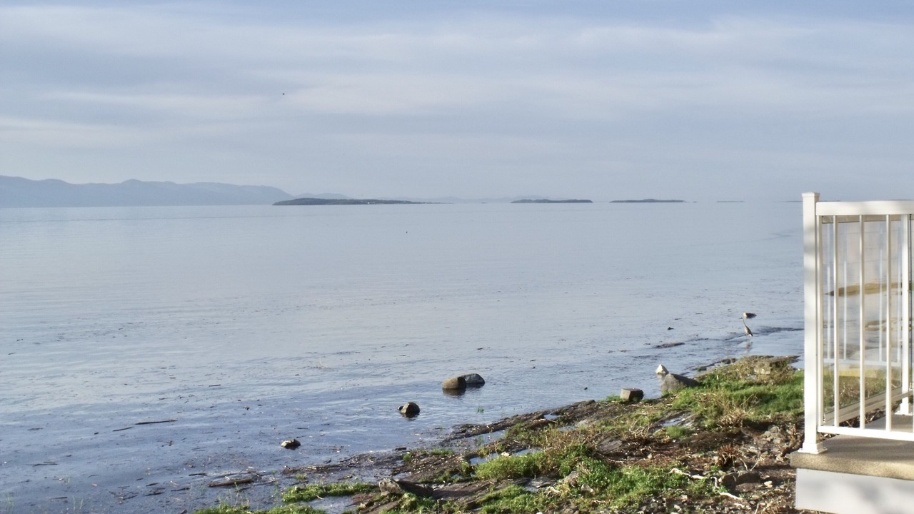 Photo of Outdoor in Berthier-sur-Mer