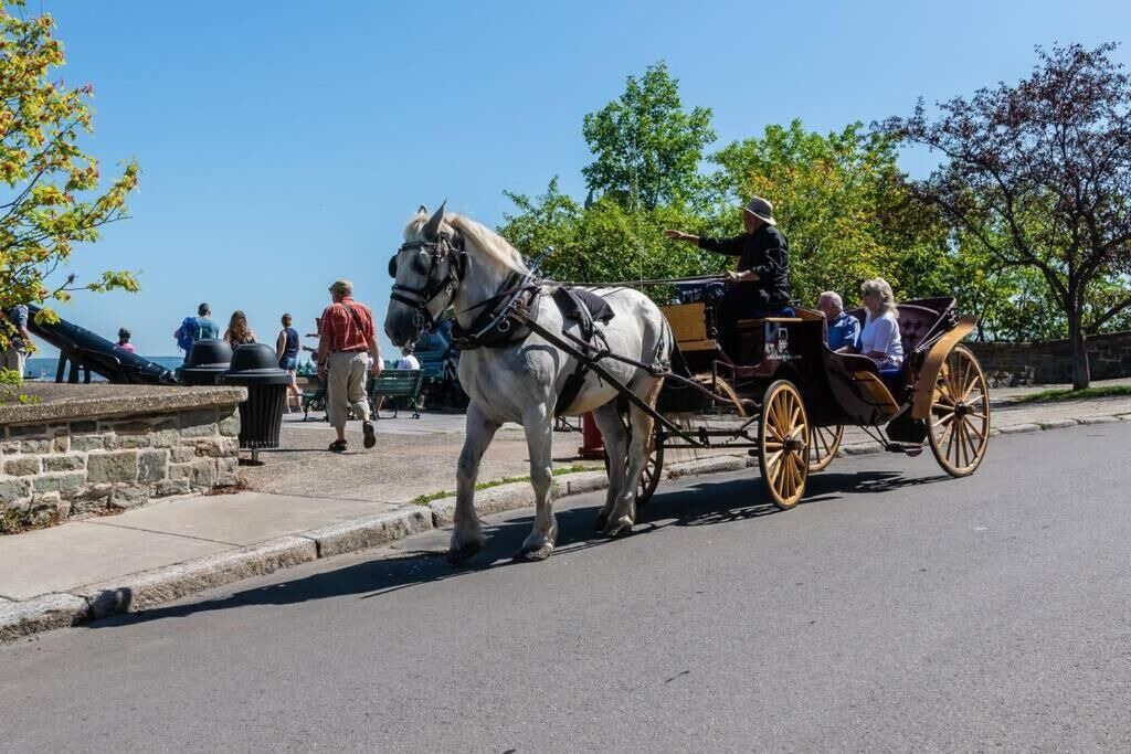 Photo of Outdoor in Old Quebec