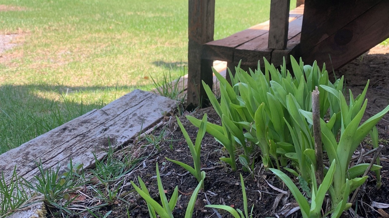 Photo of Outdoor in Saint Come