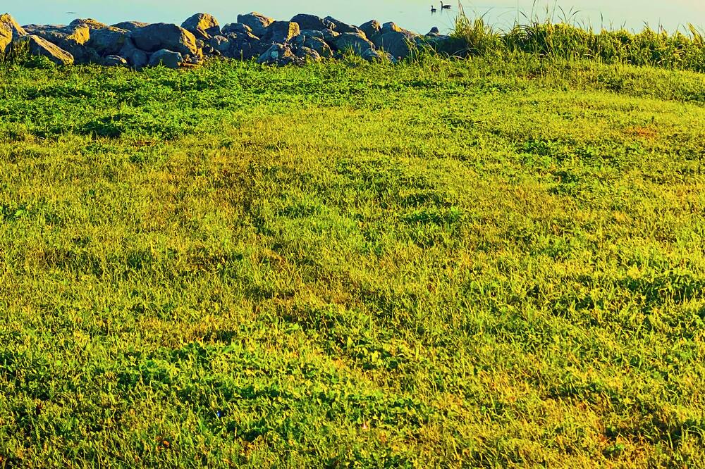 Photo of Outdoor in Cow Head