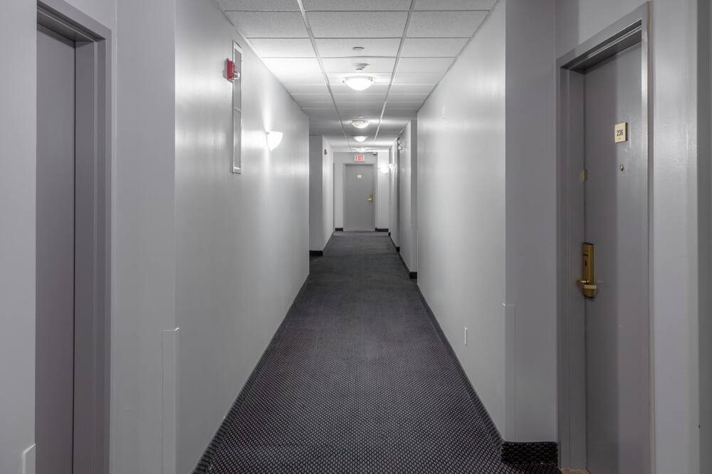 Photo of Others in Central Hamilton