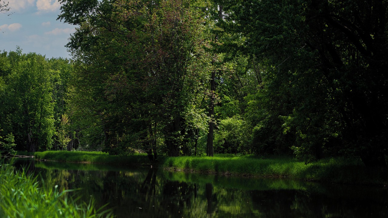 Photo of Outdoor in Grey Highlands