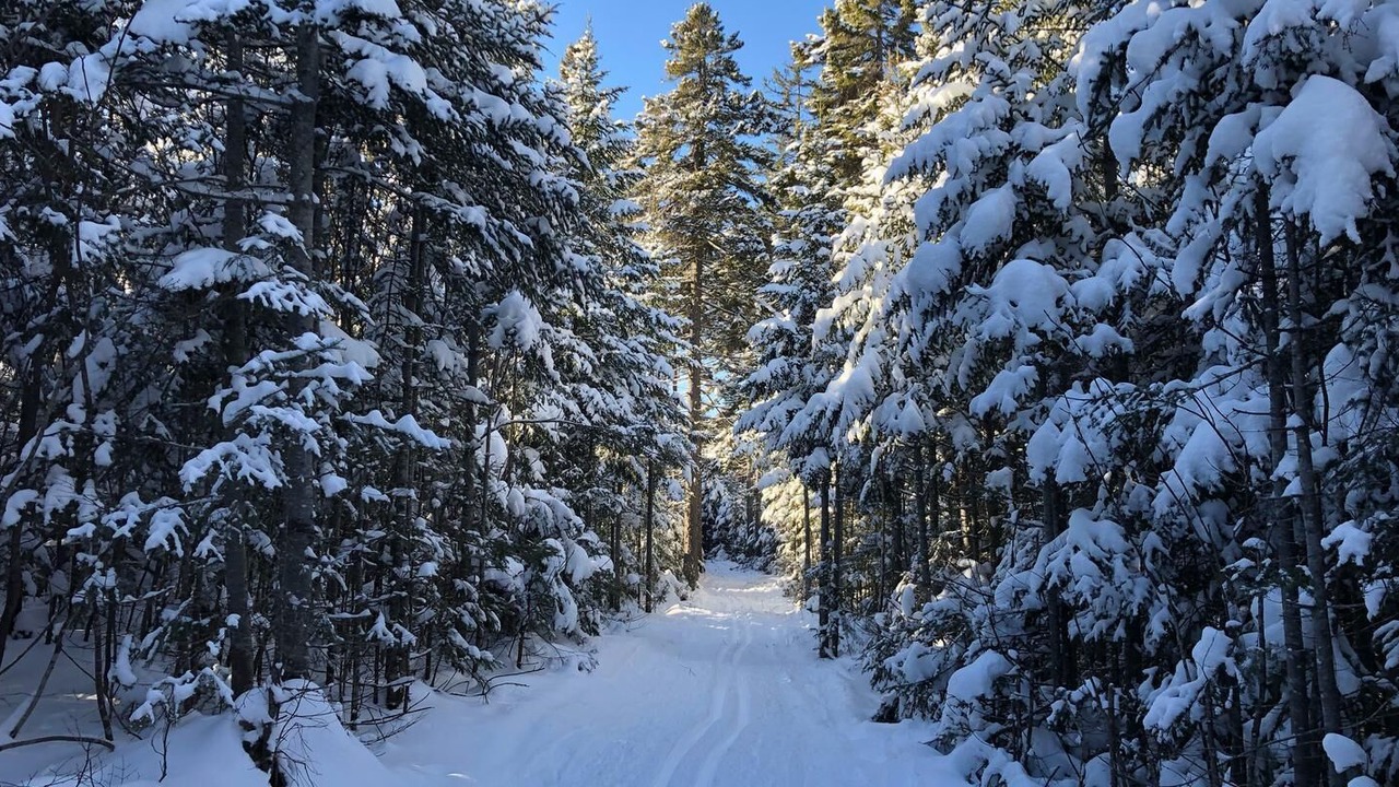 Photo of Outdoor in St-Aubert