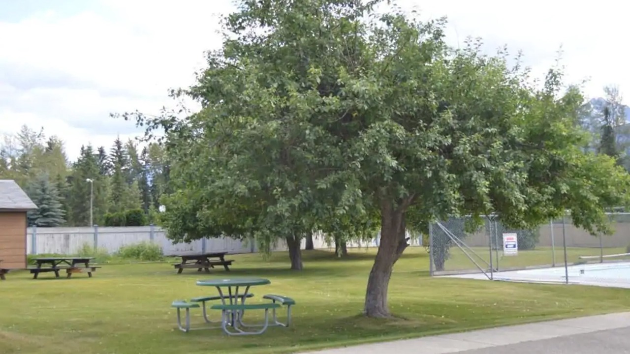 Photo of Outdoor in Golden