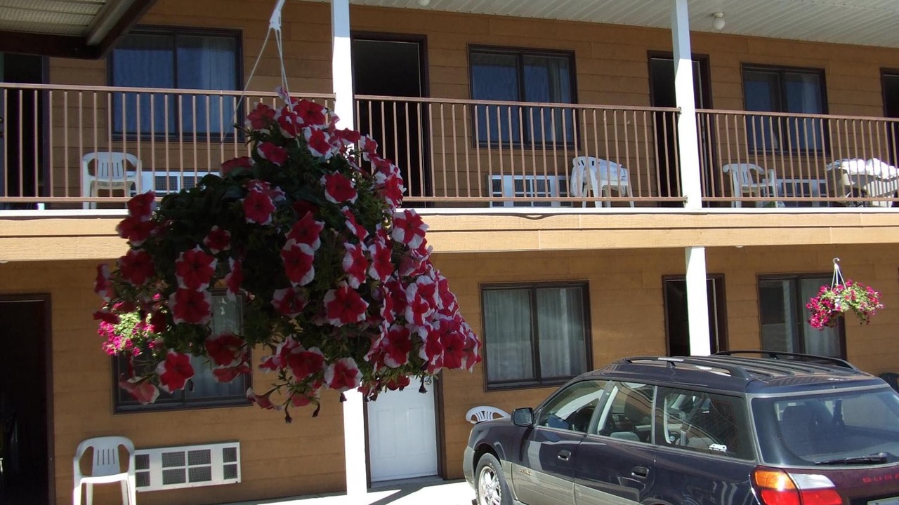 Photo of Outdoor in Golden