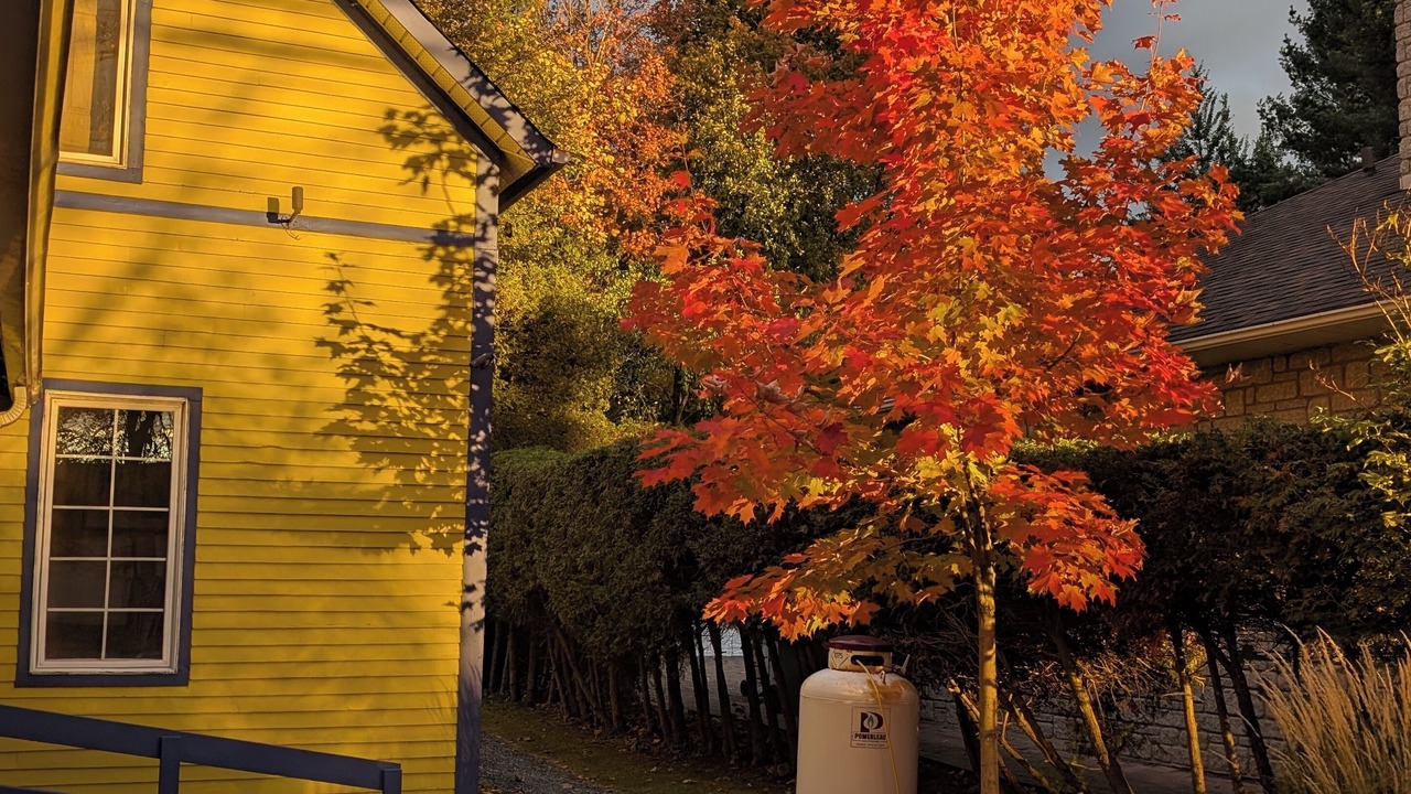 Photo of Outdoor in Magog