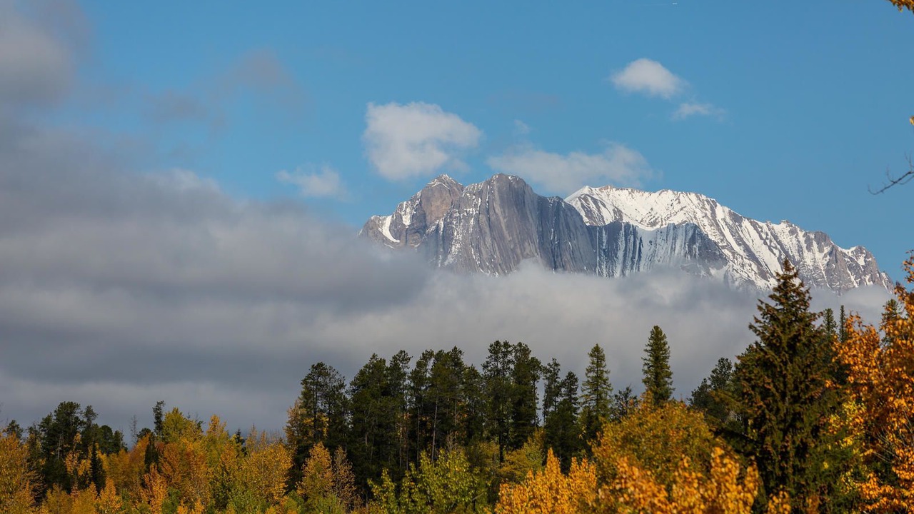 Photo of Others in Fernie