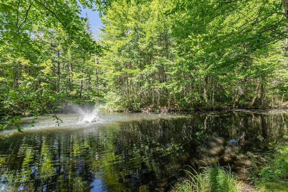 Photo of Outdoor in Stoneham