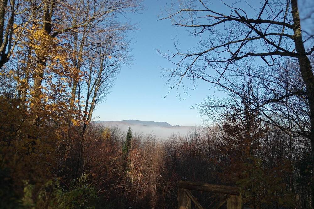 Photo of Others in Notre-Dame-Des-Bois