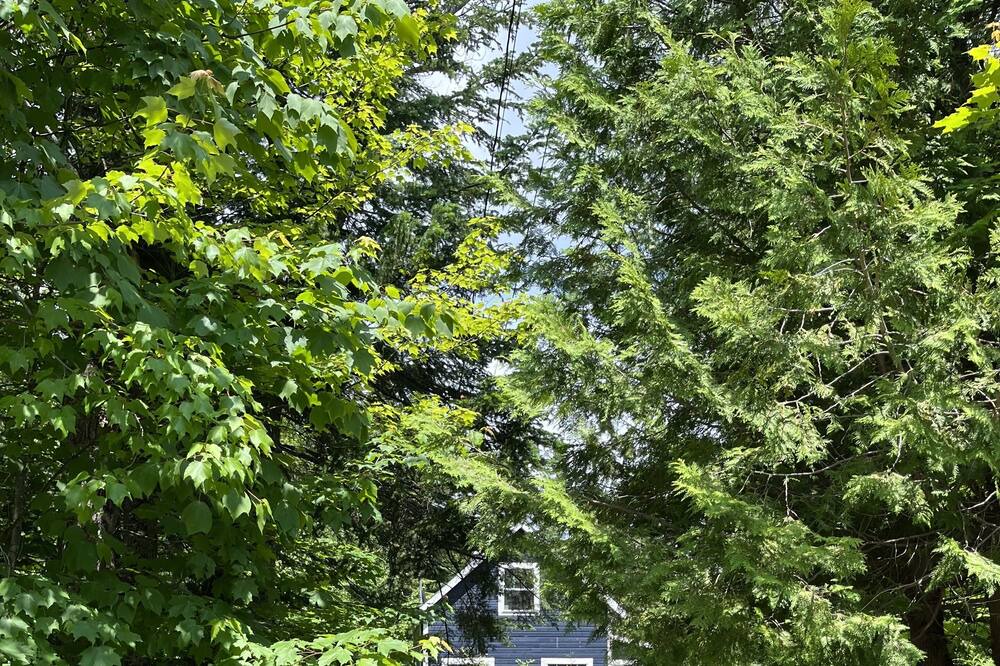 Photo of Outdoor in St-Adolphe-d'Howard