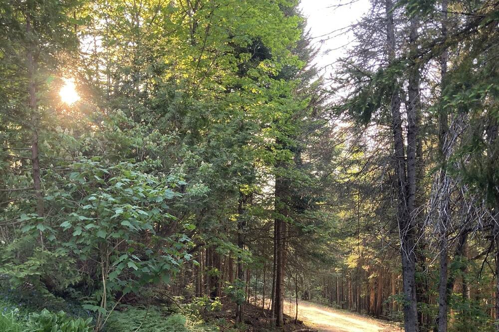 Photo of Outdoor in Val-des-Lacs