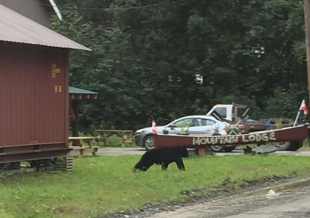 Photo of Outdoor in Stewart