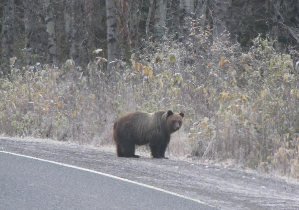 Photo of Outdoor in Stewart