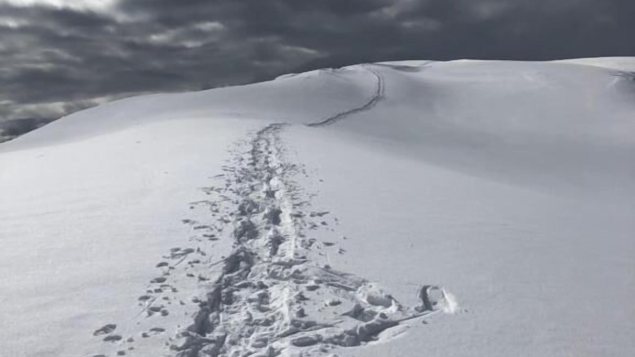 Photo of Outdoor in Stewart