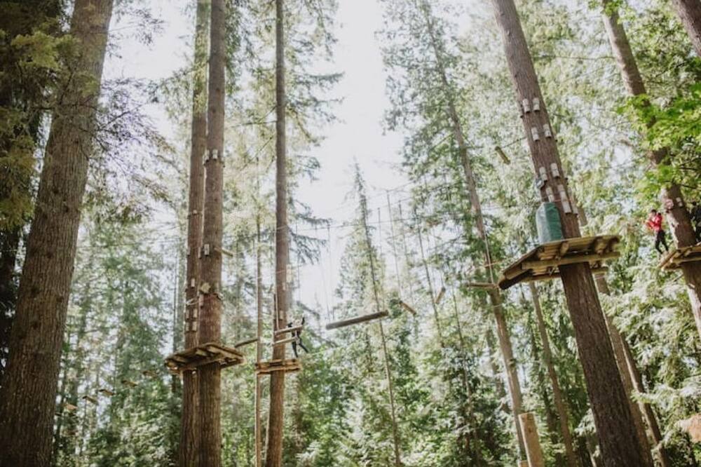 Photo of Others in Maple Ridge