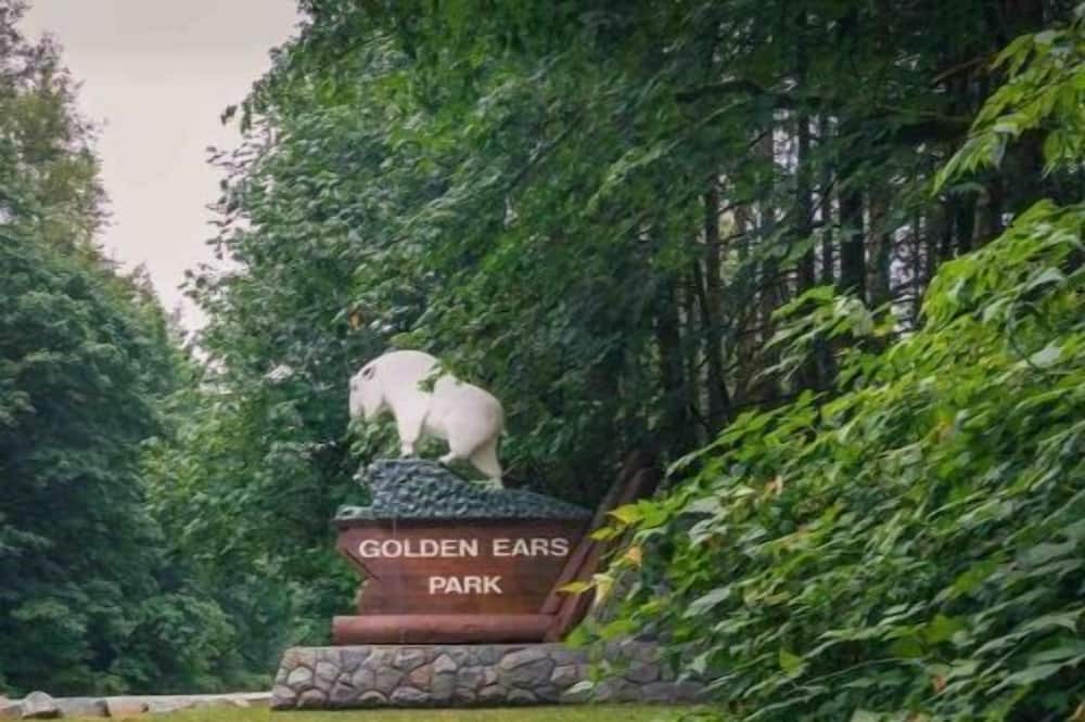 Photo of Outdoor in Maple Ridge
