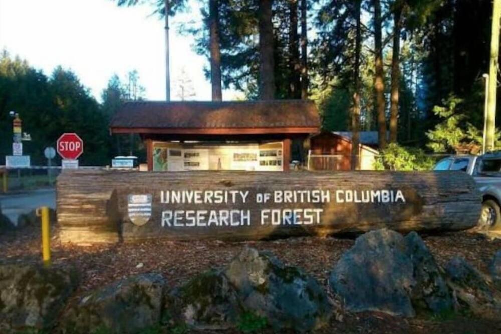 Photo of Others in Maple Ridge