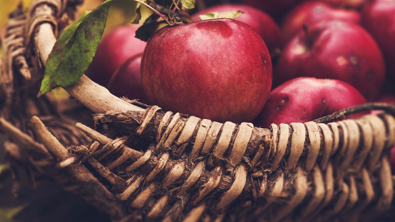 Photo of Others in L'Ile-d'Orleans Regional County Municipality