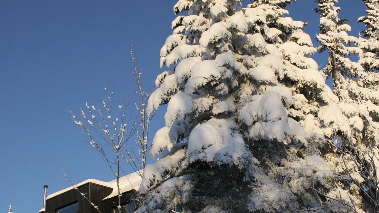 Photo of Outdoor in Petite-Riviere-Saint-Francois