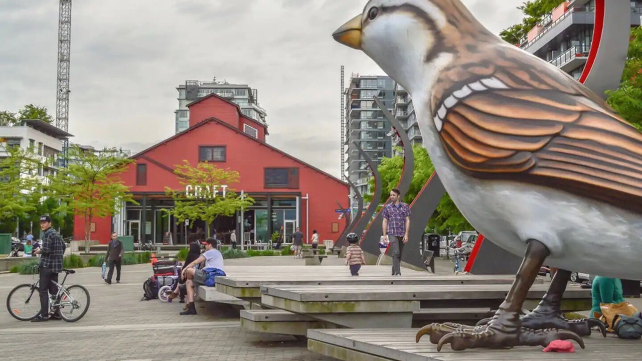 Photo of Others in Strathcona