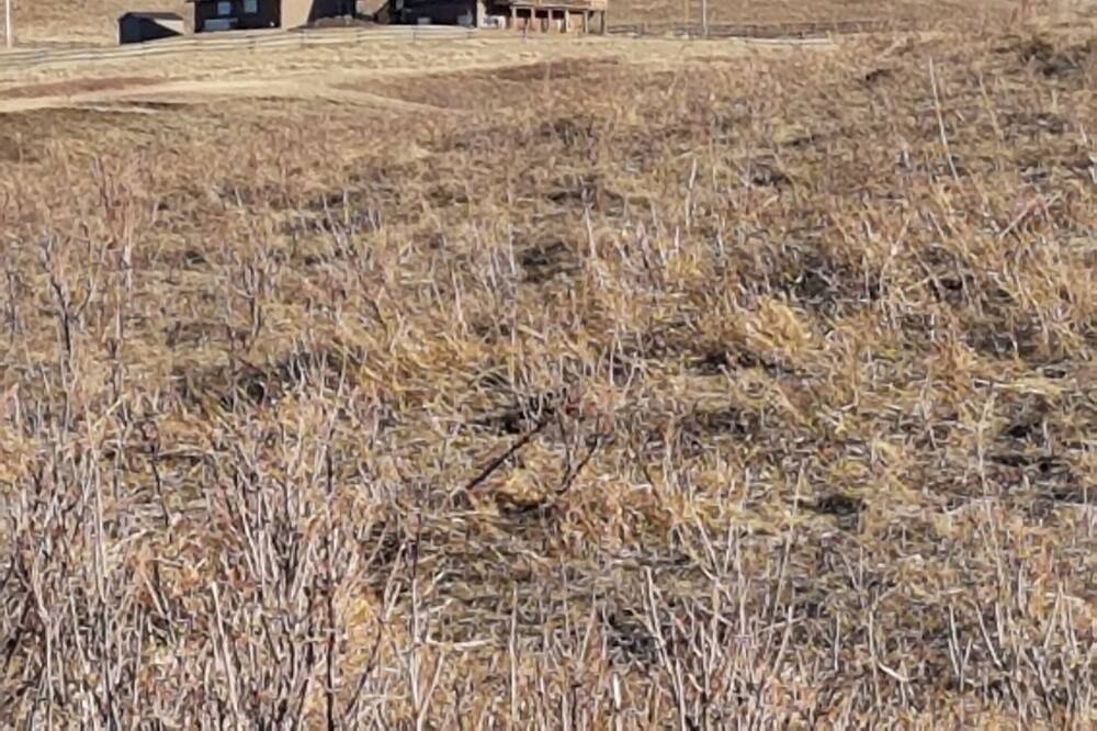Photo of Others in Aetna