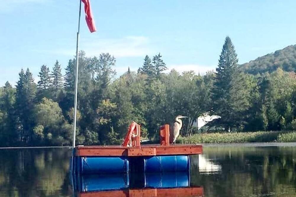 Photo of Others in Mont-Tremblant