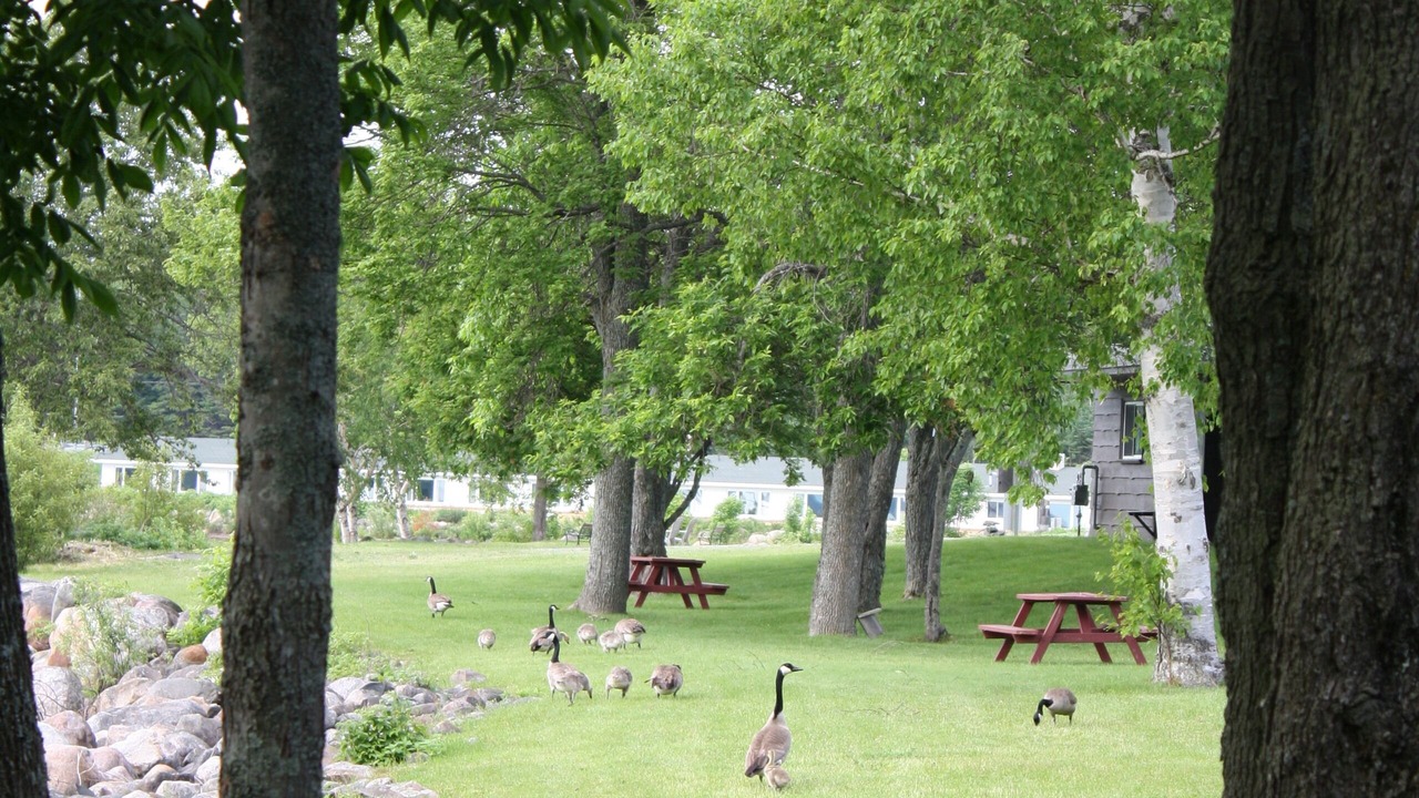 Photo of Outdoor in Thessalon