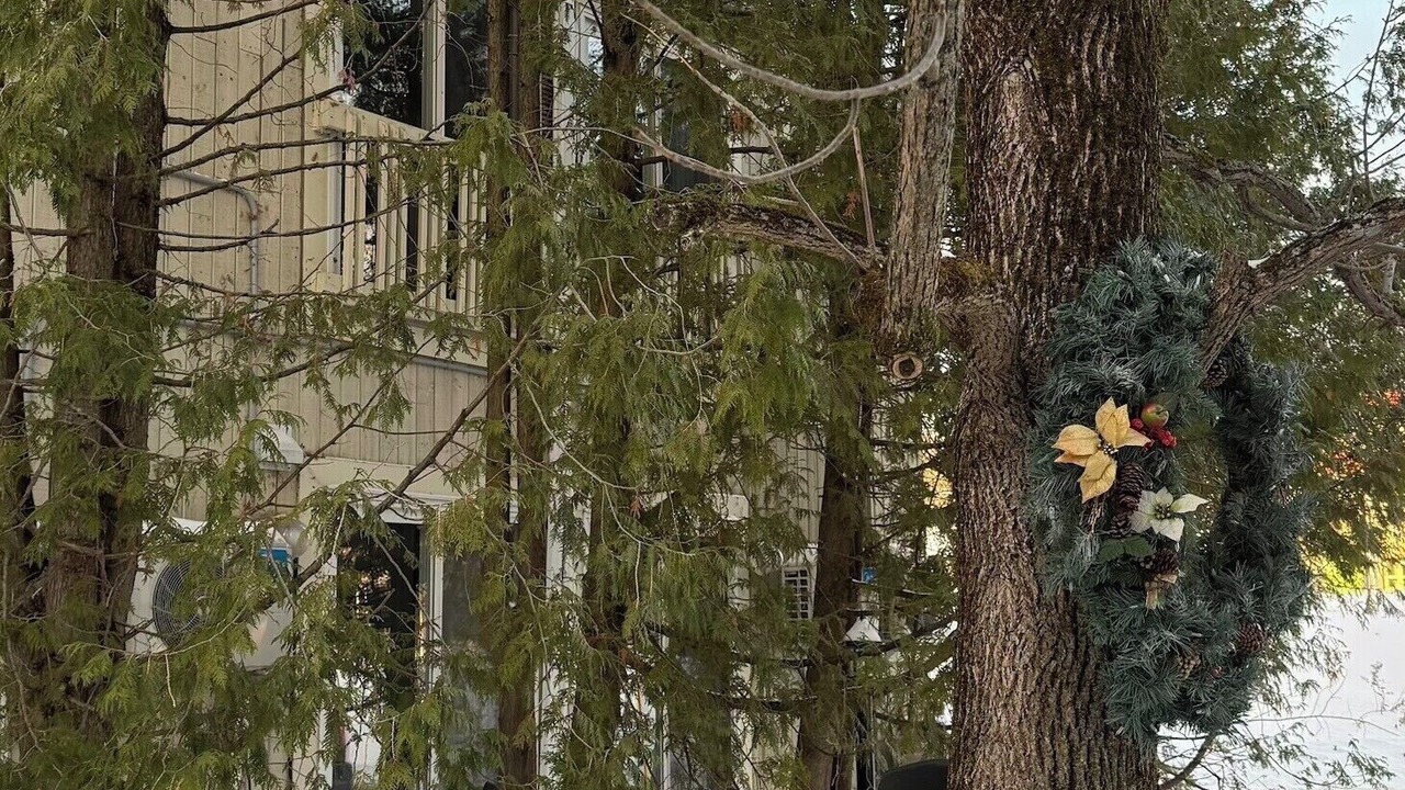 Photo of Others in Beaupre