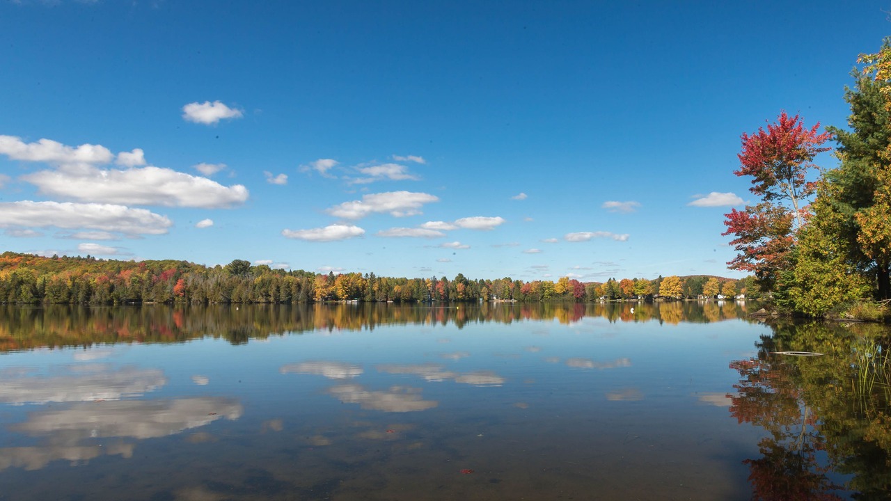 Photo of Outdoor in La Peche
