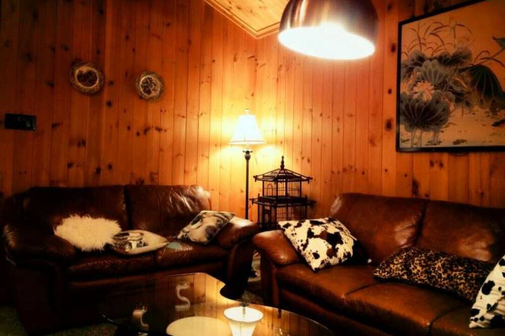 Photo of Livingroom in Lantier