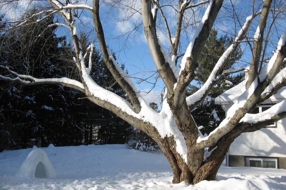 Photo of Outdoor in Sherbrooke
