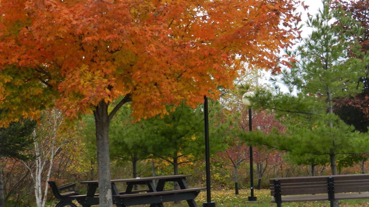 Photo of Outdoor in York - Haig