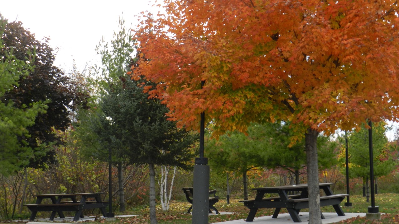 Photo of Outdoor in York - Haig