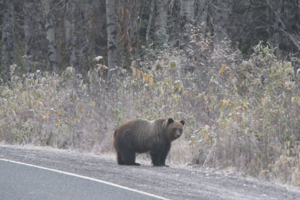 Photo of Outdoor in Stewart