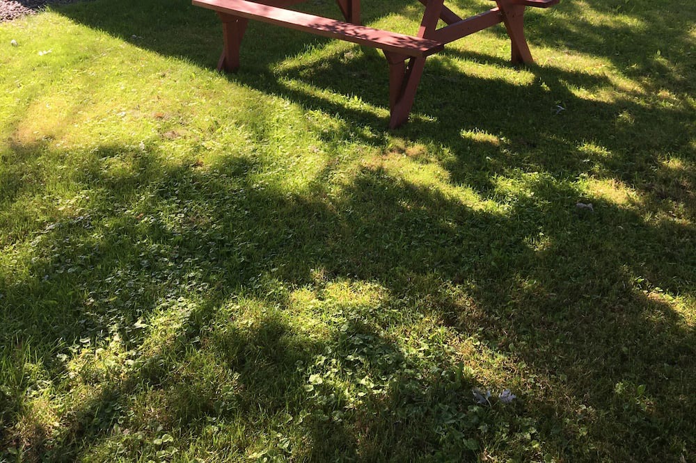 Photo of Outdoor in Consecon