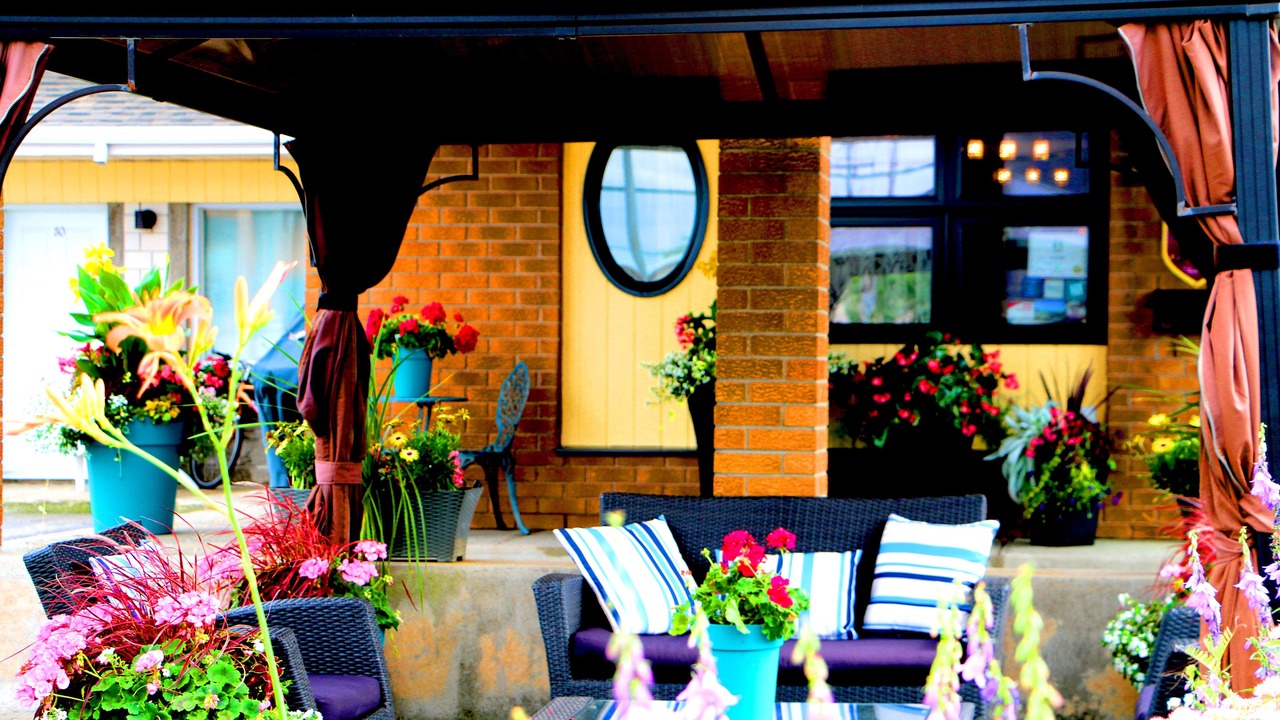 Photo of Outdoor in Montmagny